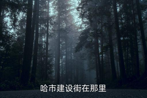哈市建設(shè)街在那里