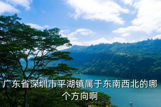 廣東省深圳市平湖鎮(zhèn)屬于東南西北的哪個方向啊
