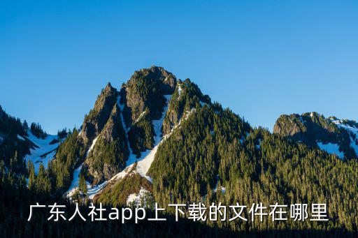 廣東人設，廣東的人是什么樣人