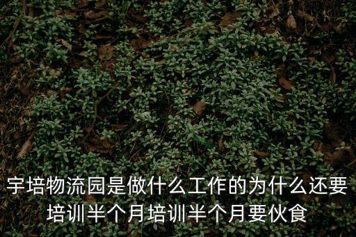 宇培物流園是做什么工作的為什么還要培訓半個月培訓半個月要伙食