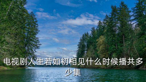 人生若如初見電視劇，電視劇人生若只如初見的全集