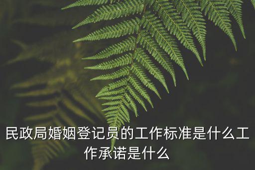 婚姻登記工作規(guī)范，結(jié)婚登記照的基本要求