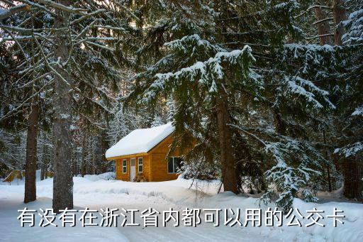 有沒有在浙江省內都可以用的公交卡