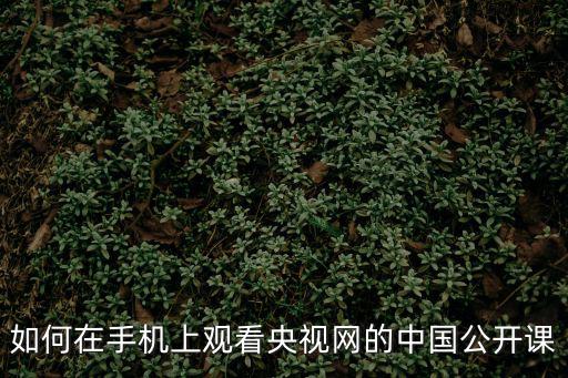 如何在手機上觀看央視網的中國公開課