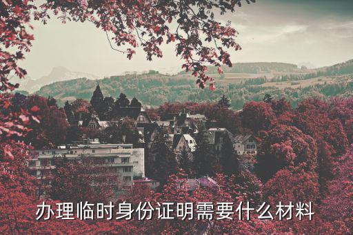 辦理臨時身份證明需要什么材料