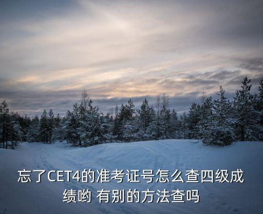 四六級準考證查詢，忘了CET4的準考證號怎么查四級成績喲 有別的方法查嗎