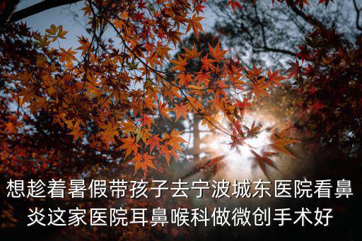 想趁著暑假帶孩子去寧波城東醫院看鼻炎這家醫院耳鼻喉科做微創手術好