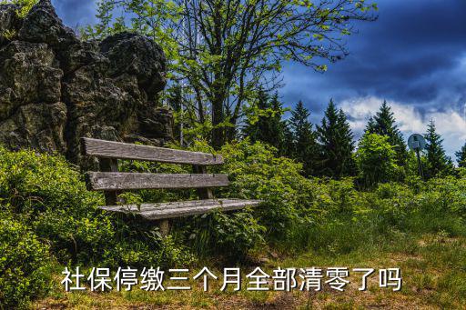 社保停繳三個月全部清零了嗎