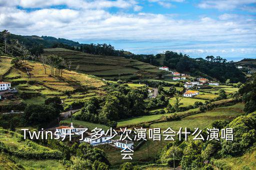 twins演唱會，Twins開了多少次演唱會什么演唱會
