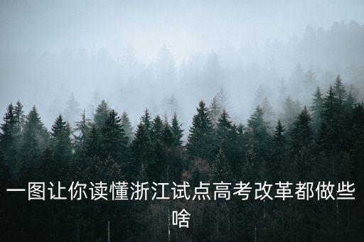 一圖讓你讀懂浙江試點高考改革都做些啥