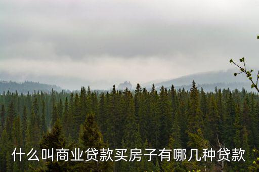什么叫商業貸款買房子有哪幾種貸款