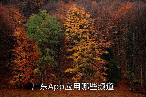 廣東少兒頻道，廣東App應(yīng)用哪些頻道