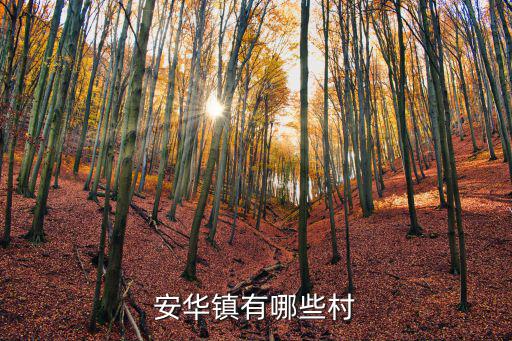 安華鎮(zhèn)有哪些村