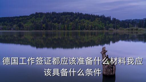 德國工作簽證都應該準備什么材料我應該具備什么條件
