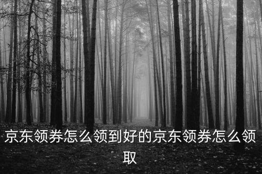 京東領(lǐng)券怎么領(lǐng)到好的京東領(lǐng)券怎么領(lǐng)取