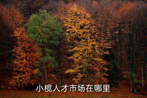 小欖菊城人才網，小欖人才市場在哪里