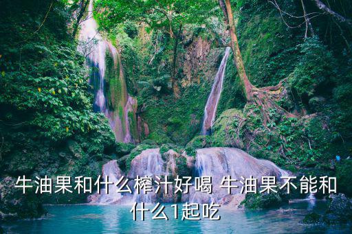 牛油果飲品，牛油果和什么榨汁好喝 牛油果不能和什么1起吃