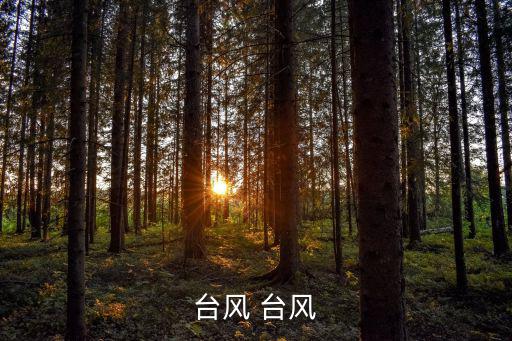 臺風(fēng) 臺風(fēng)