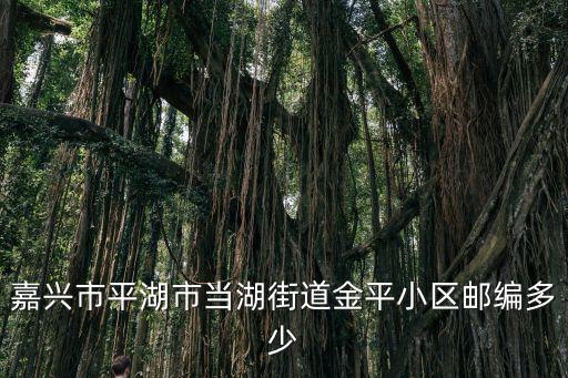 當(dāng)湖街道，二集鎮(zhèn)是哪個城市的