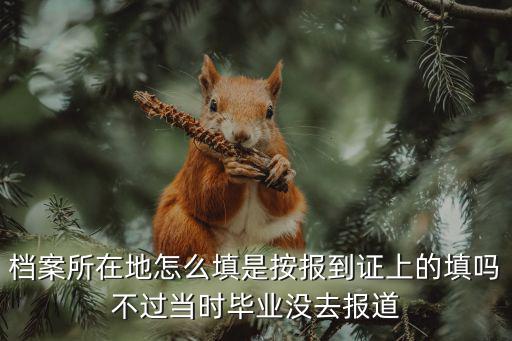 檔案所在地怎么填，檔案關系所在地怎么填