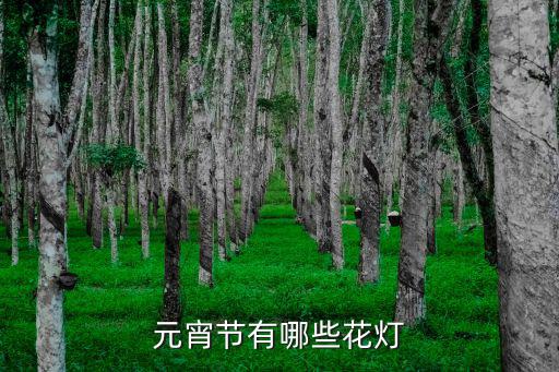 元宵燈會，元宵燈會有什么燈