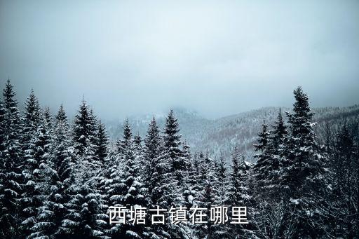 古鎮(zhèn)西塘，江南古鎮(zhèn)西塘在哪個(gè)省