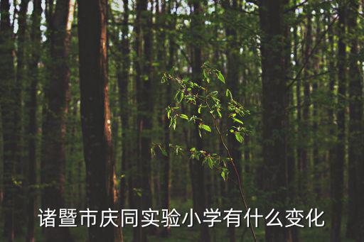 諸暨市慶同實驗小學有什么變化