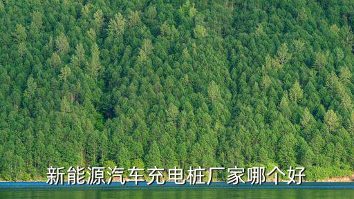 新能源汽車充電樁廠家哪個好