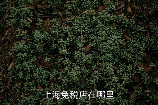 上海免稅店在哪里