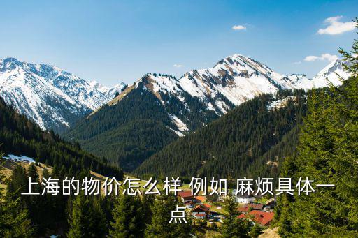 上海物價，上海的物價怎么樣 例如 麻煩具體一點