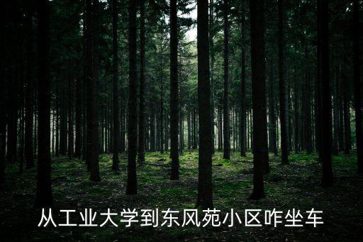 從工業(yè)大學(xué)到東風(fēng)苑小區(qū)咋坐車