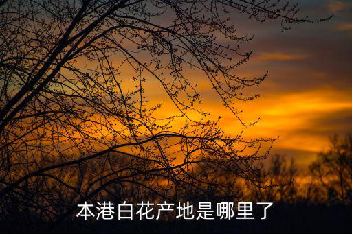 本港白花產(chǎn)地是哪里了