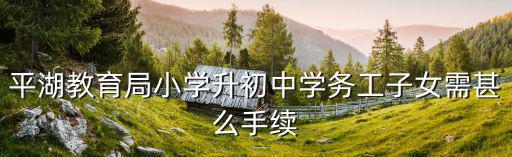 平湖教育局小學升初中學務工子女需甚么手續