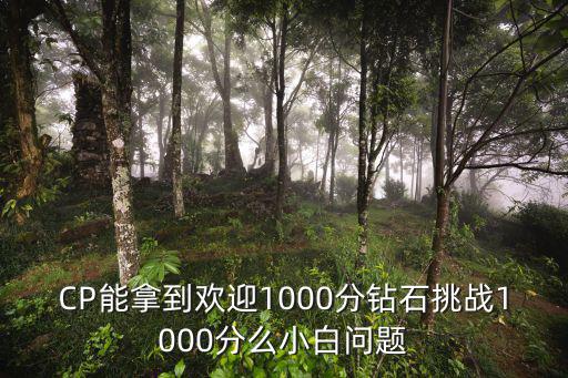 CP能拿到歡迎1000分鉆石挑戰(zhàn)1000分么小白問(wèn)題