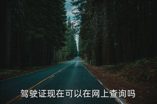 駕照查詢，云南摩托車駕駛證查詢