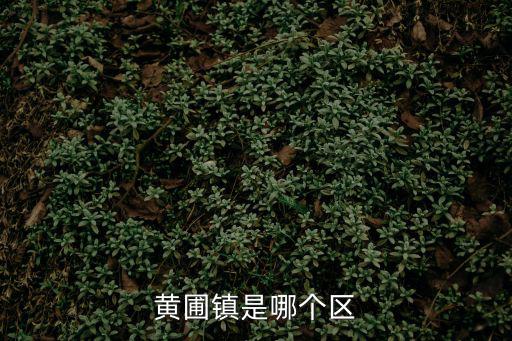 黃圃鎮(zhèn)是哪個(gè)區(qū)