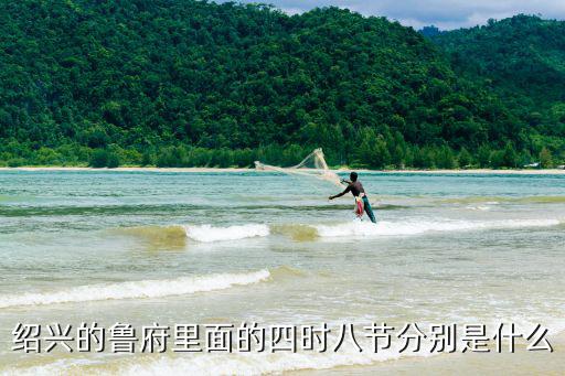 紹興春，請問紹興哪有野生春蘭啊我過年回老家山東想挖幾棵帶回去給我