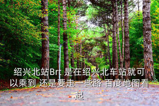 紹興北，紹興北換乘到紹興東十幾分鐘夠嗎