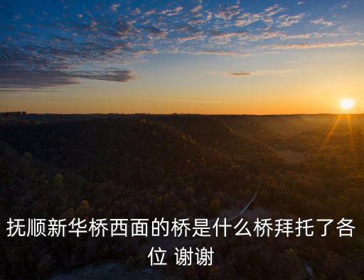 撫順新華橋西面的橋是什么橋拜托了各位 謝謝