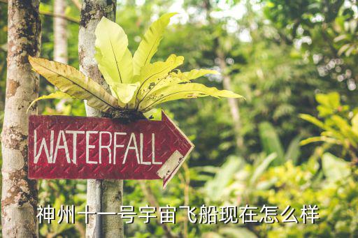 神州11，神州11是第幾次載人飛行