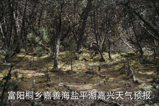 富陽桐鄉嘉善海鹽平湖嘉興天氣預報