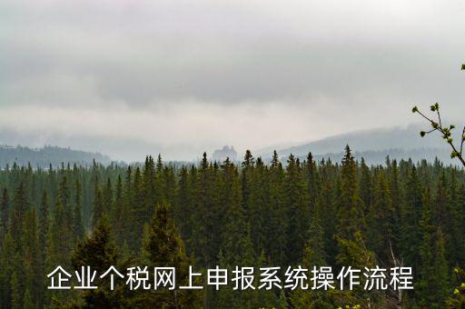 企業個稅網上申報系統操作流程