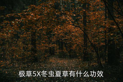 極草5x冬蟲夏草，極草5x的主要作用有哪些