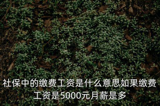 社保中的繳費工資是什么意思如果繳費工資是5000元月薪是多