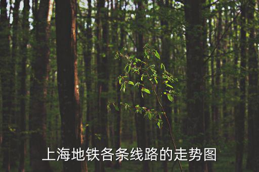 上海地鐵各條線路的走勢圖