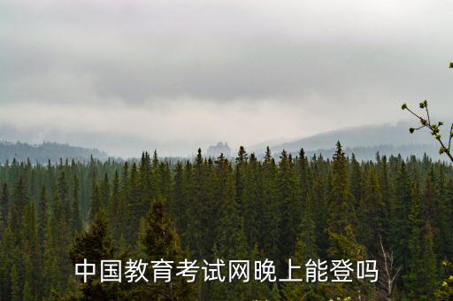 中國教育考試網(wǎng)晚上能登嗎
