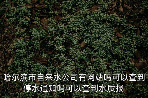 哈爾濱市自來水公司有網(wǎng)站嗎可以查到停水通知嗎可以查到水質(zhì)報(bào)