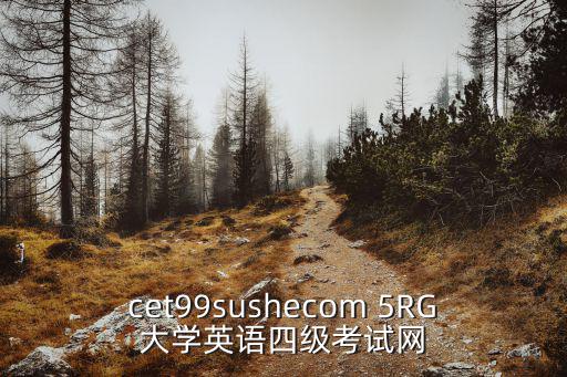 cet99sushecom 5RG大學英語四級考試網