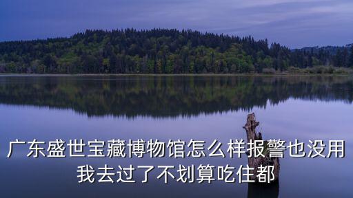 盛世寶邸，盛世寶邸的房子為什么 有錢都買不到