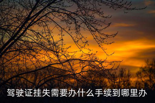 駕駛證掛失，駕駛證丟了如何掛失